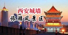 骚货逼真紧中国陕西-西安城墙旅游风景区